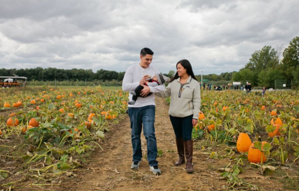 Harvest Season at Fair Oaks Farms