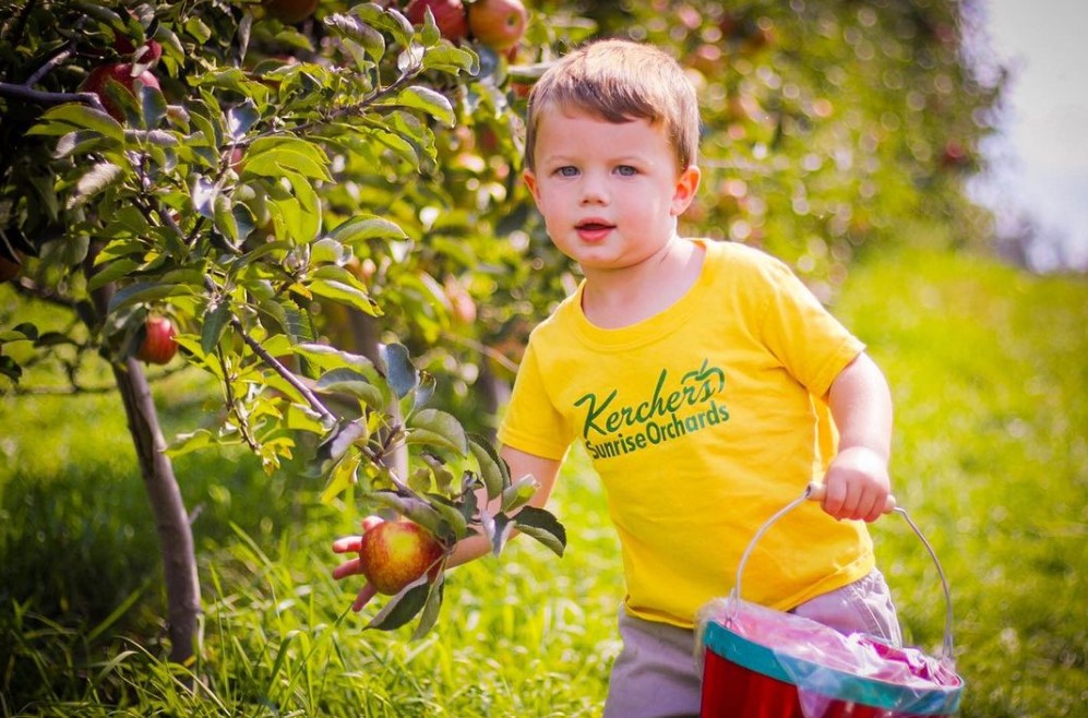 Kercher's Sunrise Orchard for Fall Family Fun