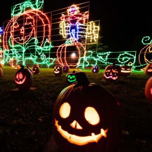 Pumpkin Glow Trail 1