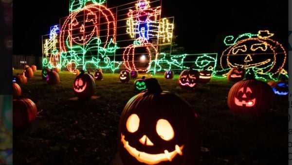 Pumpkin Glow Trail 1