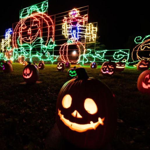 Pumpkin Glow Trail