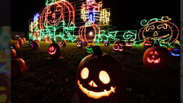 Pumpkin Glow Trail