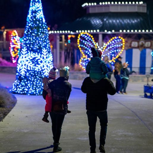 Things to Do during the Holidays 4