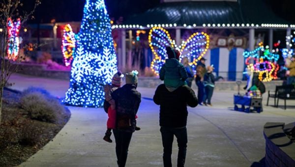 Things to Do during the Holidays 4
