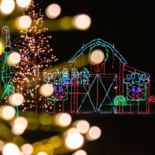 Christmas Tyme Lights 2