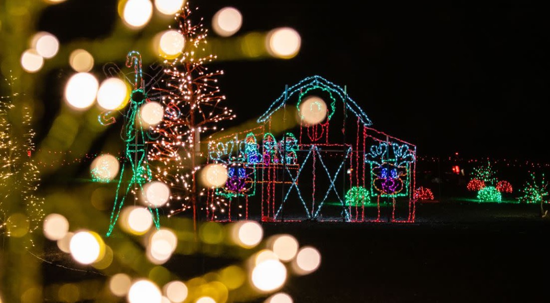 Christmas Tyme Lights NITDC