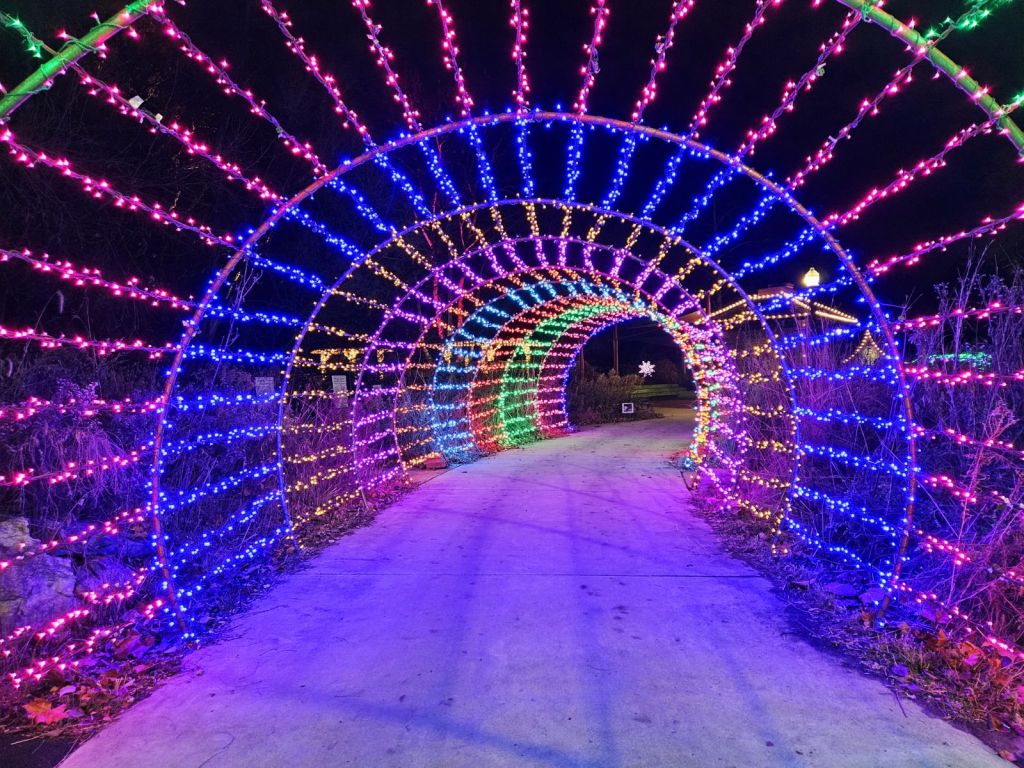 Top 15 Things To Eat Winter Wonderland Holiday Lights At Wellfield