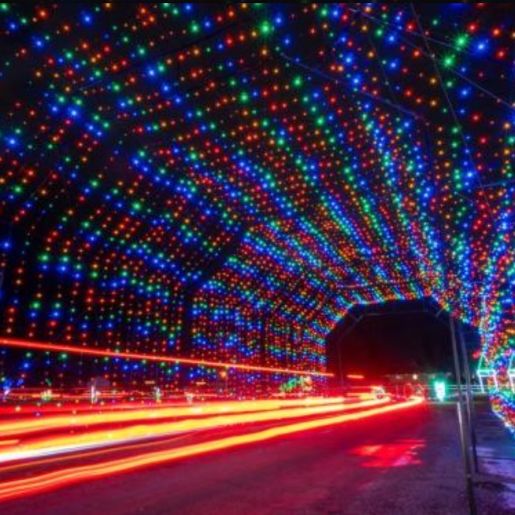 SHIPSHEWANA’S LIGHTS OF JOY 2