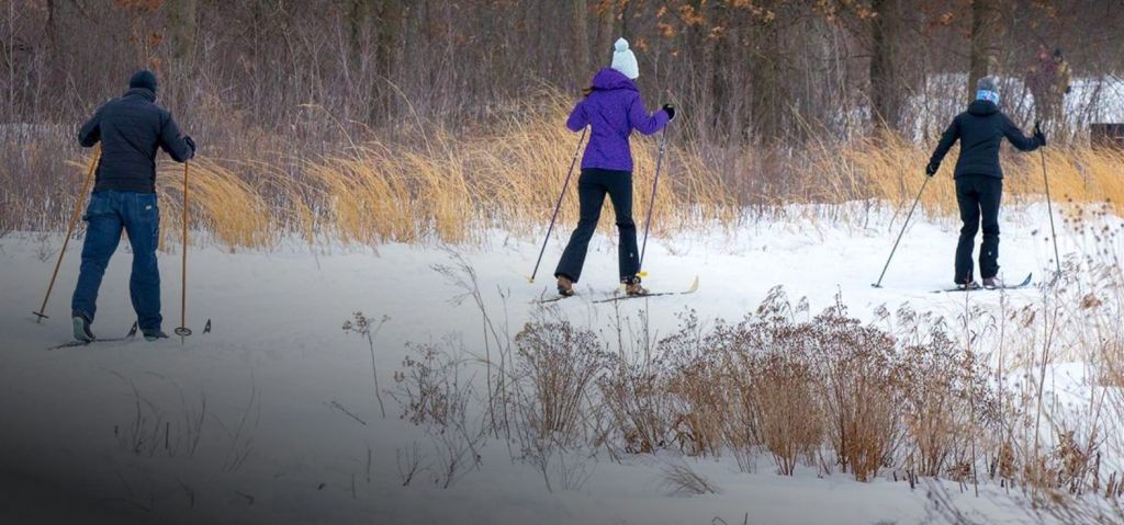 Cross Country Skiing along the South Shore